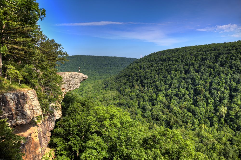 <p>Also known as <a class="SWhtmlLink" href="https://www.buffaloriver.com/pages/whitaker-point-trail-hawksbill-crag/" rel="noopener noreferrer">Whitaker Point</a>, this rocky ridge overlooking the Buffalo River valley is one of Arkansas' most photographed spots (it's also where the intro to the Disney movie <em>Tuck Everlasting</em> was filmed). Just be careful when you're enjoying the colorful fall foliage or blossoming mountain wildflowers—the bluff can be very dangerous as the drop is a long way down.</p>