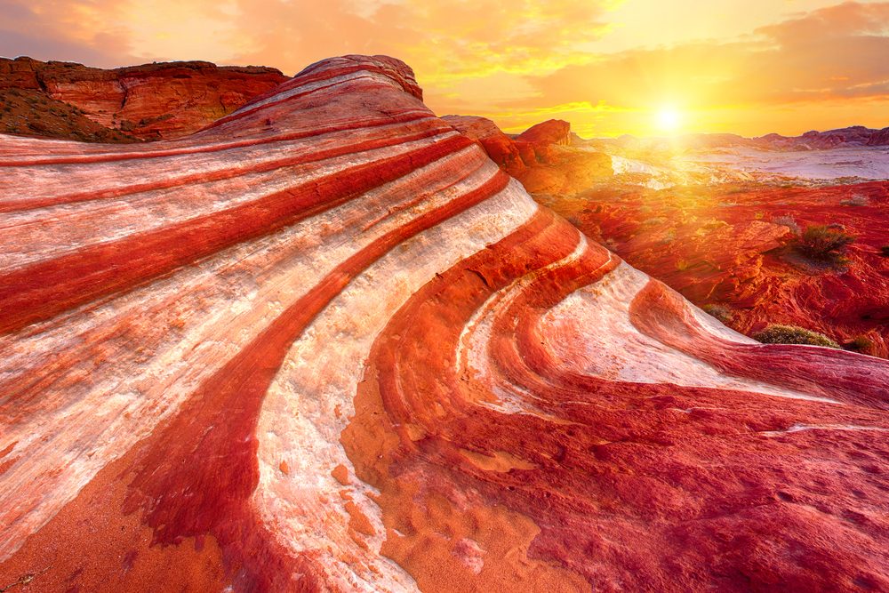 <p>When in Vegas, take a day trip to nearby natural wonder <a class="SWhtmlLink" href="http://parks.nv.gov/parks/valley-of-fire" rel="noopener noreferrer">Valley of Fire</a>. Named because of the fiery hue of the famous rock formations filling the 40,000-acre valley, it's all Aztec sandstone, massive petrified trees, and prickly cacti. Look for the bright blooms of desert marigolds or indigo bushes poking up through the rock crevices when you're scaling the sandstone paths. Here are other <a class="SWhtmlLink" href="https://www.rd.com/list/las-vegas-attractions/">must-see Vegas attractions that aren't casinos</a>.</p>