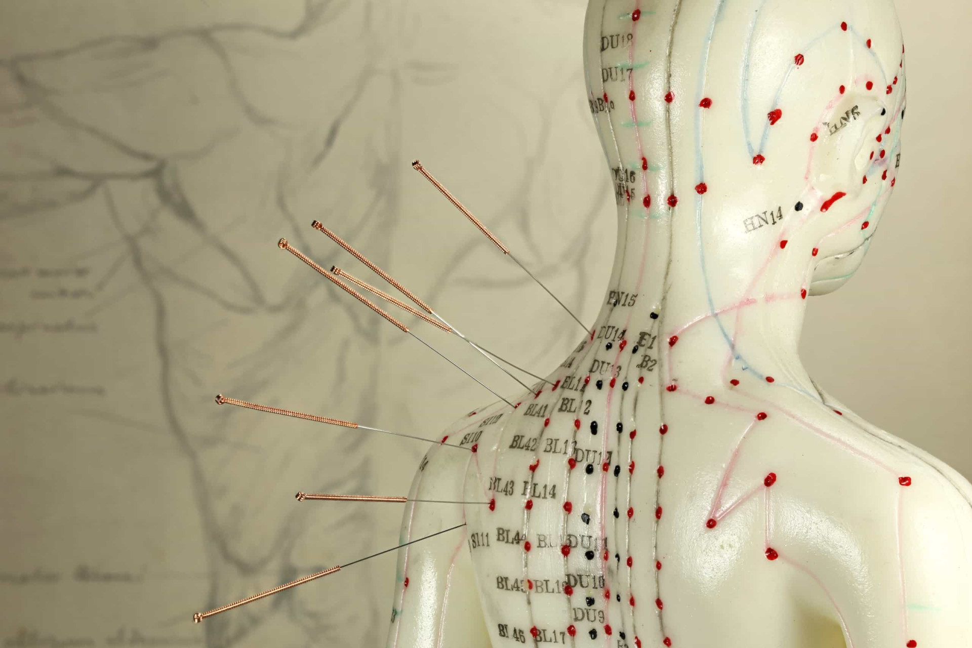 <p>When an area of the body is out of balance, it can affect you in multiple ways. Acupuncture relieves multiple symptoms all in one treatment, while also correcting the root cause.</p><p><a href="https://www.msn.com/en-us/community/channel/vid-7xx8mnucu55yw63we9va2gwr7uihbxwc68fxqp25x6tg4ftibpra?cvid=94631541bc0f4f89bfd59158d696ad7e">Follow us and access great exclusive content every day</a></p>