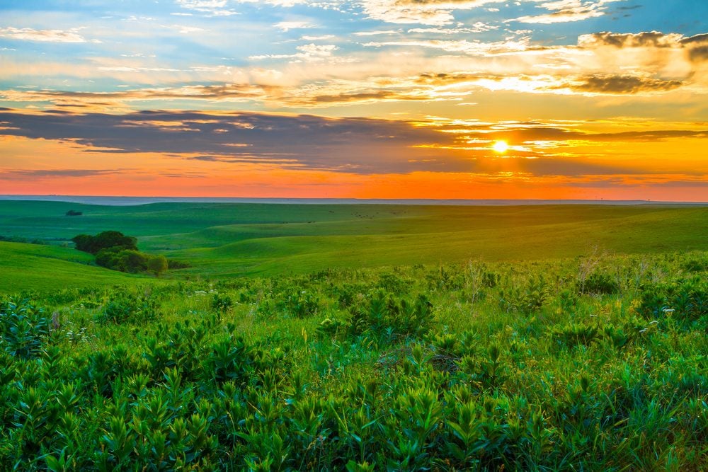 <p>When you think of the Midwest, you likely think of vast prairie fields of wildflowers and grasses stretching as far as the eye can see. That's what you'll find in the Flint Hills region of Kansas, where four million acres of hills and meadows make up 80 percent of what's left of the world's tallgrass prairie. Fun fact: Kansas has also been deemed one of the top 10 places in the world to watch a sunset. Here's <a class="SWhtmlLink" href="https://www.rd.com/list/most-spectacular-sunset-from-every-state/">the most spectacular sunset in every state</a>.</p>