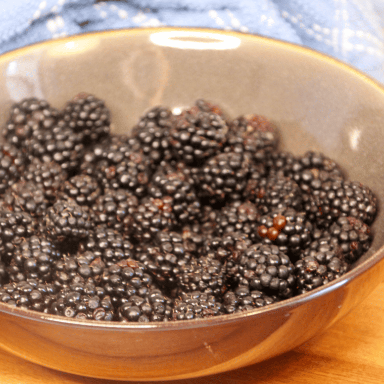 Air Fryer Dehydrating Blackberries