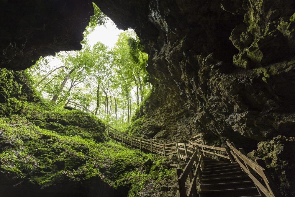 <p>Step into <a class="SWhtmlLink" href="http://www.iowadnr.gov/Places-to-Go/State-Parks/Iowa-State-Parks/ParkDetails/ParkID/610127" rel="noopener noreferrer">Maquoketa Caves</a> and you'll feel like you stepped into a South American rainforest. Whether you're walking the paved trail through the most popular Dancehall Cave which was originally formed by a glacier or slipping on a headlamp and getting dirty in one of the lesser-known caves, there are plenty of hidden nooks and crannies to explore.</p>