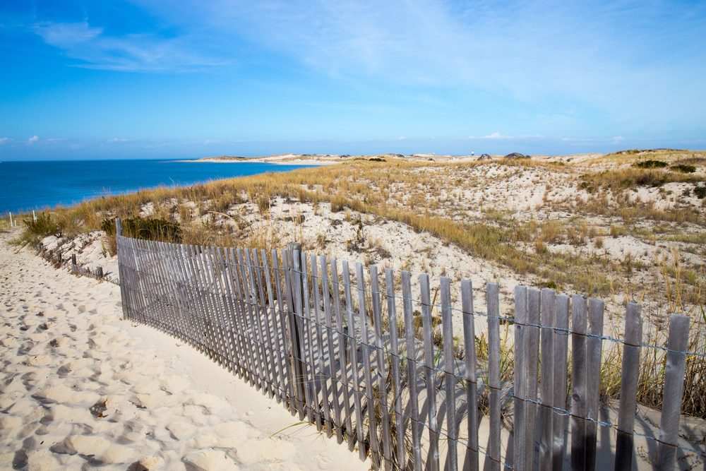 <p>You don't have to fly south for beautiful beaches—you can find them right here in Delaware at <a class="SWhtmlLink" href="https://destateparks.com/Beaches/CapeHenlopen" rel="noopener noreferrer">Cape Henlopen</a> where the Delaware Bay empties into the Atlantic Ocean. The six miles of pristine shoreline is bordered by sandy dunes dotted with beach grasses blowing in the breeze. Sink your toes in the soft sand and watch the shorebirds flit in the surf as the waves roll in. Here are <a class="SWhtmlLink" href="https://www.rd.com/list/best-budget-friendly-beach-destinations/">12 more of the best beaches in America</a>.</p>