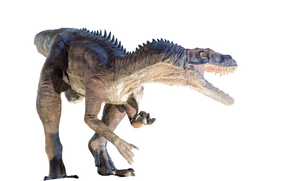 50+ Incredible Dinosaurs That Start With H