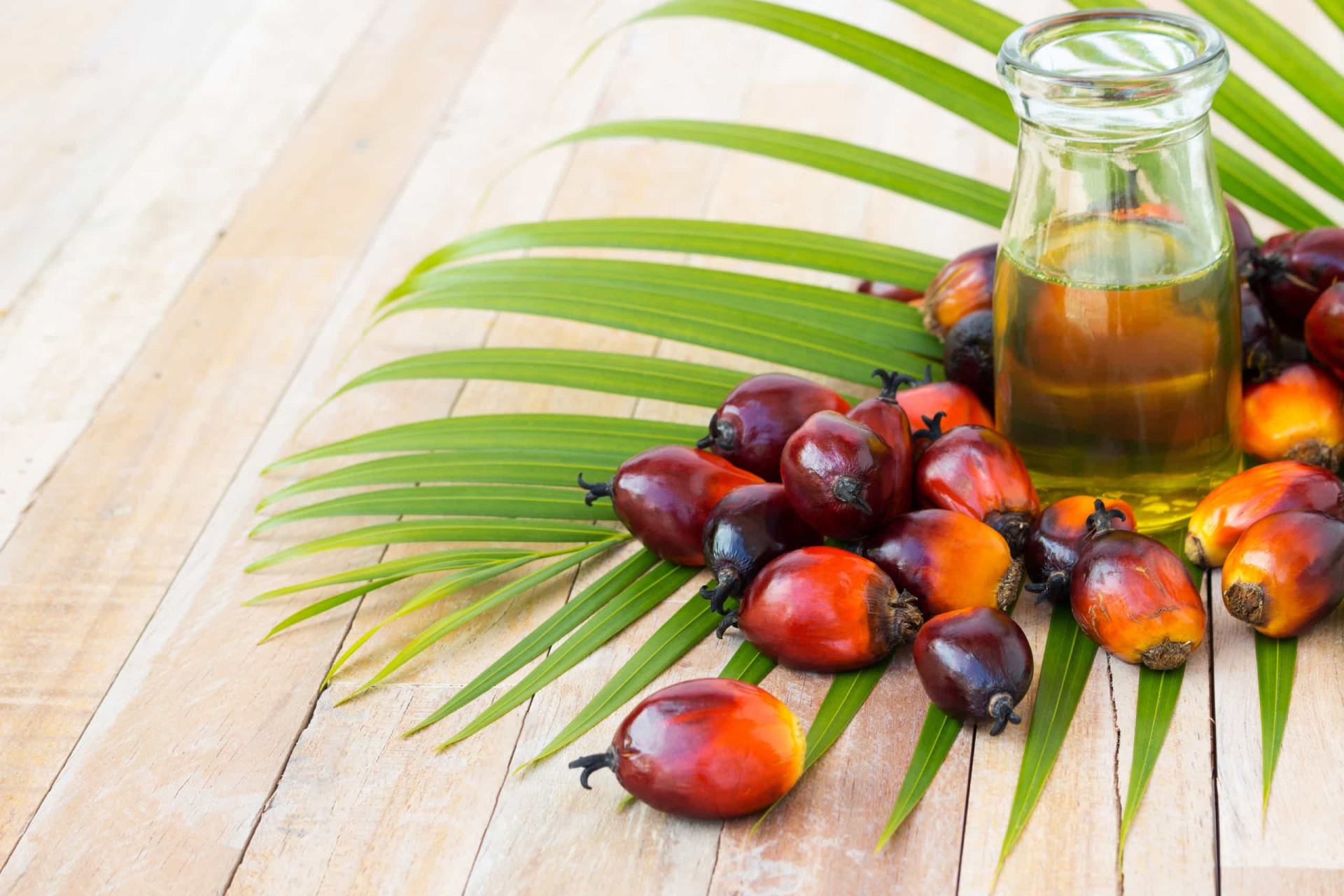 Can we do without palm oil?