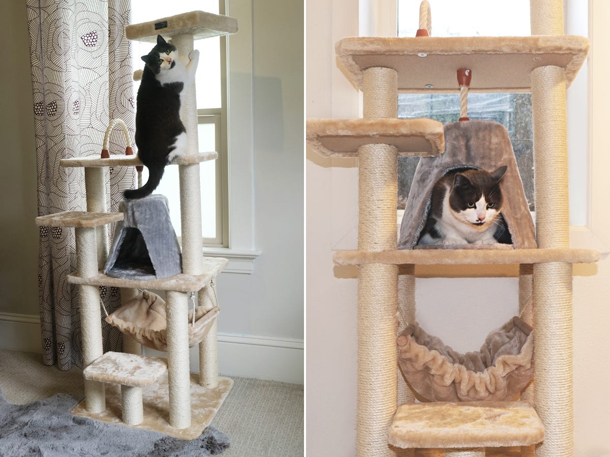 Best overall: Armarkat Classic Cat Tree