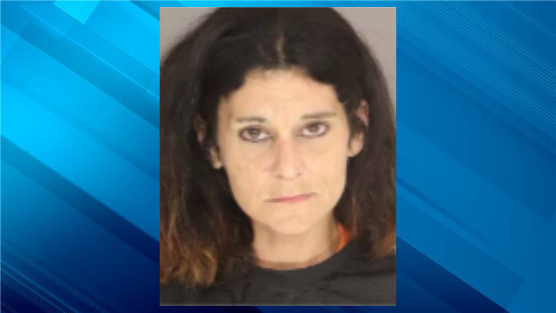 Wanted Sumter County Woman Arrested