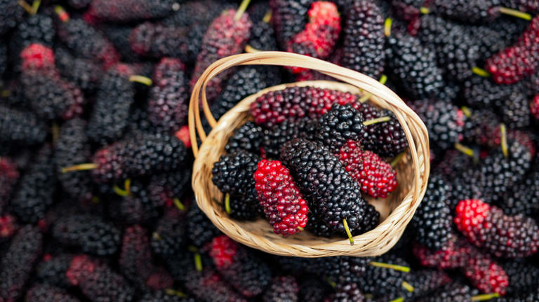 Mulberries Vs Blackberries: What's The Difference?