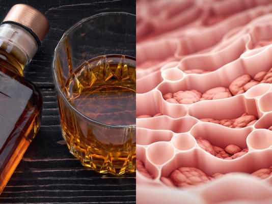 Hoe het drinken van alcohol je darmflora beinvloedt