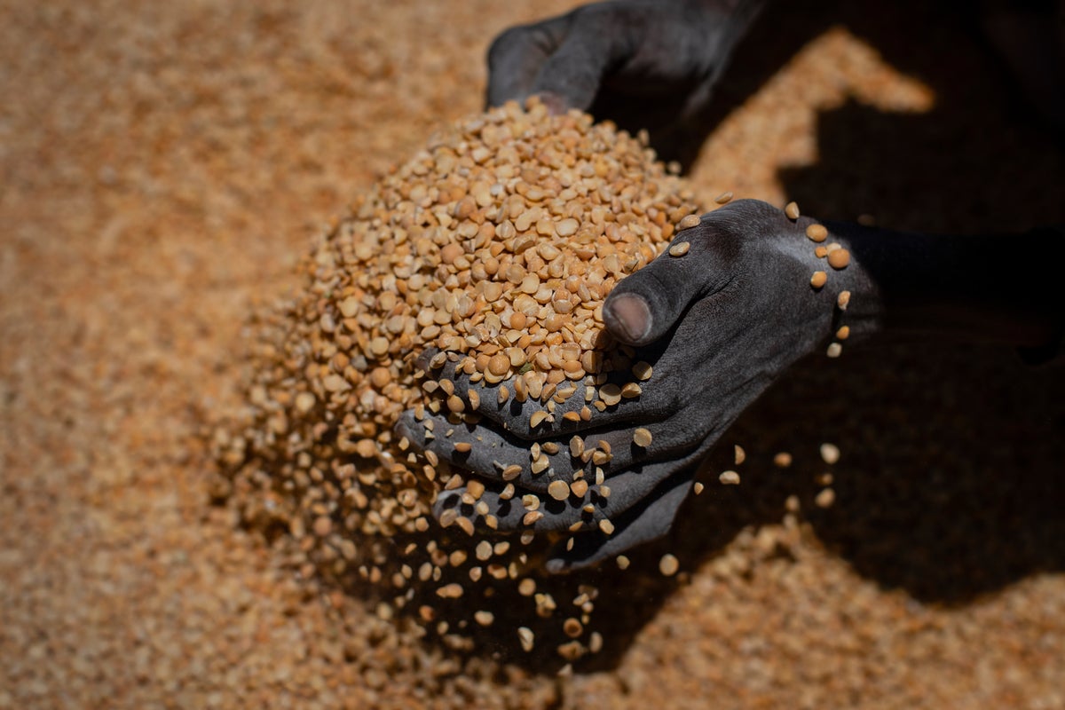 programa mundial de alimentos anuncia ayuda para 3 millones de etíopes. millones más necesitan ayuda