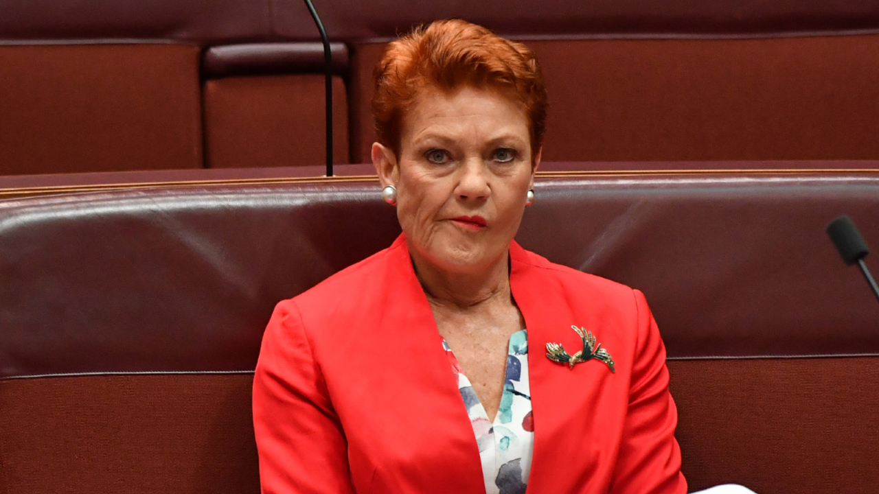 pauline hanson admits support for anthony albanese's broken tax promise
