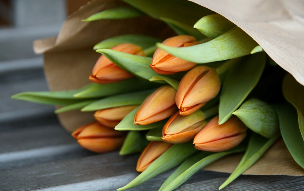 zum valentinstag tulpen kaufen: warum das keine gute idee ist