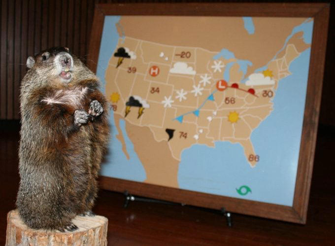 10 Famous Groundhogs Besides Punxsutawney Phil