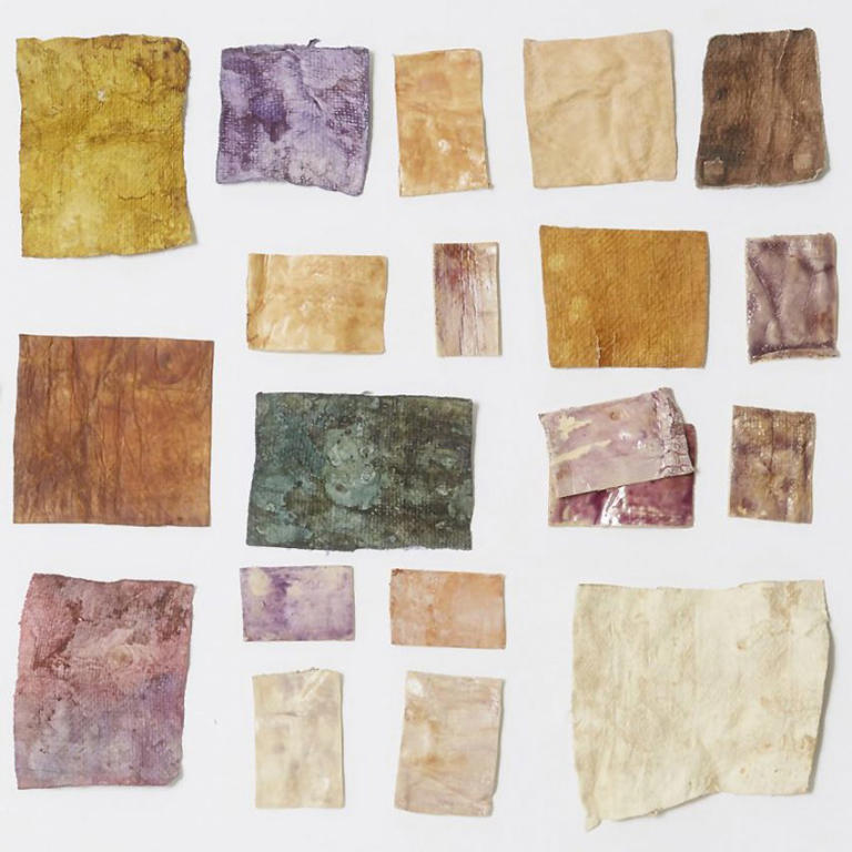 Food waste dyes bring colour to mycelium leather in Sages and Osmose ...