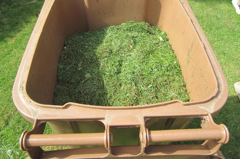 Brown bin charges for garden waste 'could be scrapped by Scottish