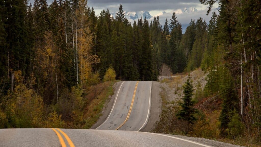 <p>With a name like the Highway of Tears, it’s no surprise this road trip route makes our list. This highway is a 719-kilometer (446-mile) corridor that has been the location of countless crimes against missing women since 1970. </p><p>One Reddit user told Redditors that “it’s the biggest hotspot for unsolved murders in all of Canada” and that “they don’t even know how many people have been killed or how many serial killers there are.”</p><p>As one reader puts it, “dealing with psychopaths hunting people is a whole other deal.”</p>