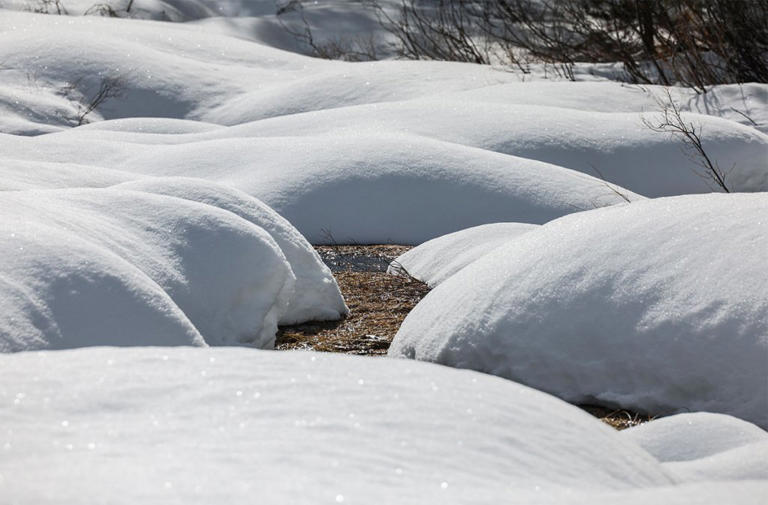 Is California headed for a 'snow drought'? Latest survey finds levels ...