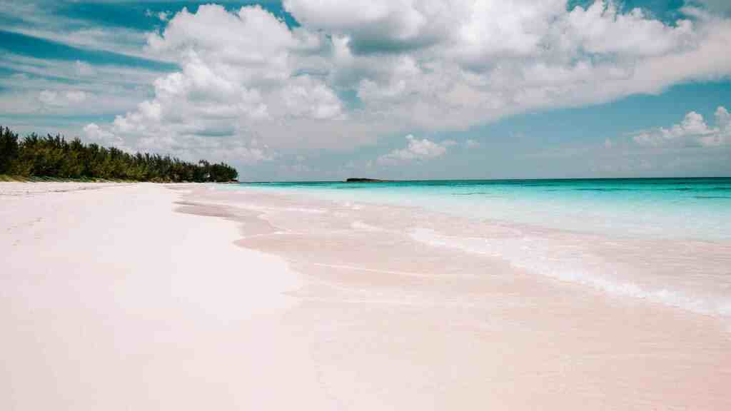 <p>Located on the Eastern Atlantic Ocean side, Pink Beach is a destination that should be added to every beach lover’s bucket list. Foraminifera, small microscopic insects that are bright pink, are the reason behind the beach’s pale pink color.</p><p>You will also love the seemingly endless stretch of three miles. The infinite blue waters and the pink sands are a perfect combination for your exotic tropical vacation. It is an excellent destination for snorkeling, beachcombing, and swimming.</p><p class="has-text-align-center has-medium-font-size">Read also: <a href="https://worldwildschooling.com/hidden-beaches-in-the-caribbean/">Top Hidden Beaches in the Caribbean</a></p>