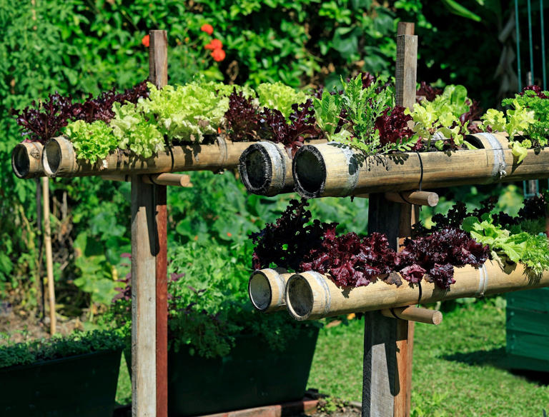 Creative Herb Garden Ideas: 10 Ways to Transform Your Yard