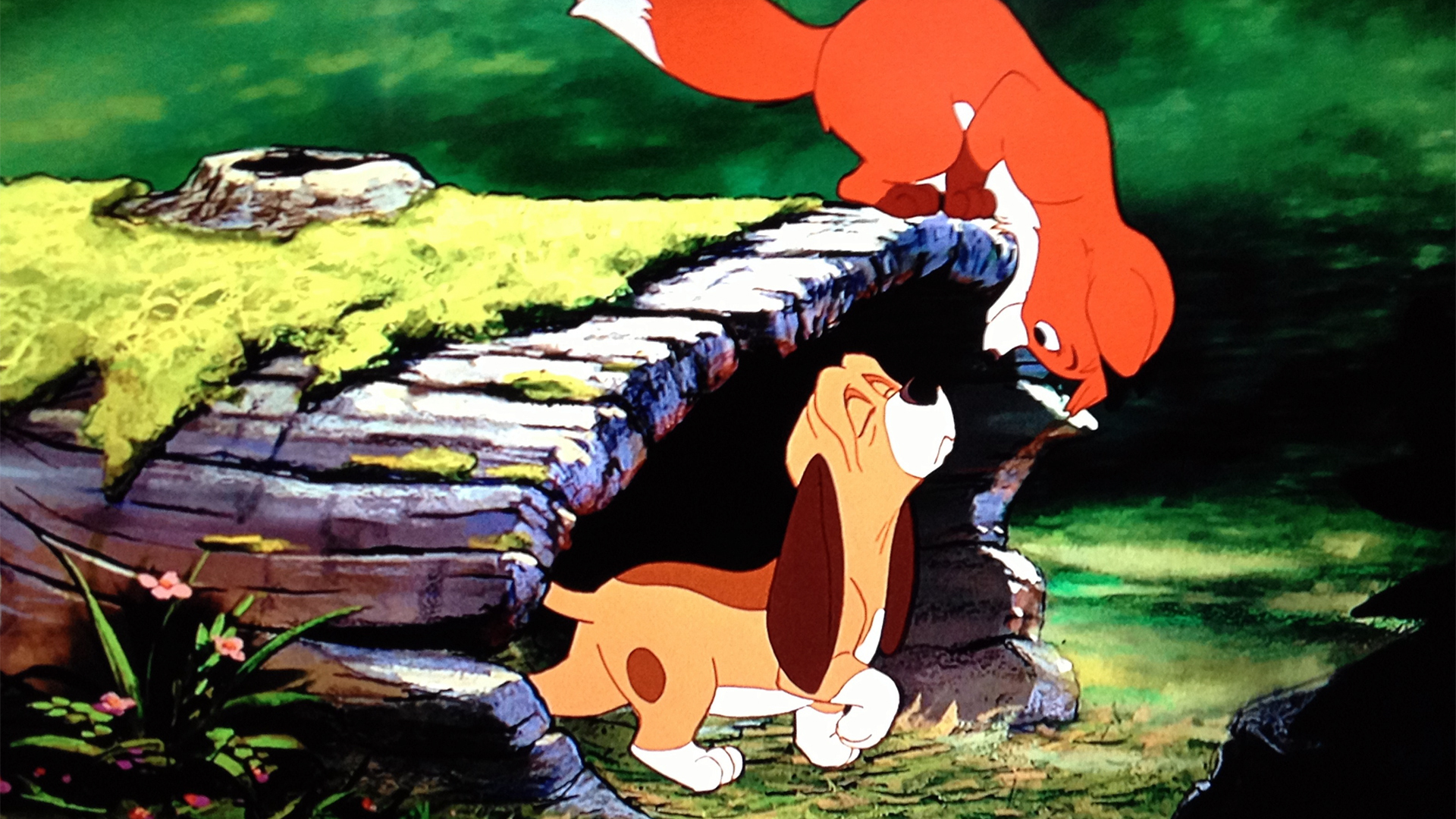 <p>1981’s “The Fox and the Hound” is about an unlikely friendship between two very different personalities. It’s also about a fox and a hound, voiced by Mickey Rooney and Kurt Russell, respectively. This thoughtful animated Disney film might not be atop most Disney fans’ lists of their favorite movies from the studio, but the classic cartoon still earns a spot on this list.</p><p><a href='https://www.msn.com/en-us/community/channel/vid-cj9pqbr0vn9in2b6ddcd8sfgpfq6x6utp44fssrv6mc2gtybw0us'>Follow us on MSN to see more of our exclusive entertainment content.</a></p>