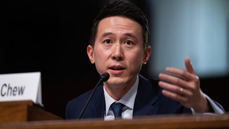 ‘Senator, I’m Singaporean’: TikTok CEO Faces Off Against Tom Cotton