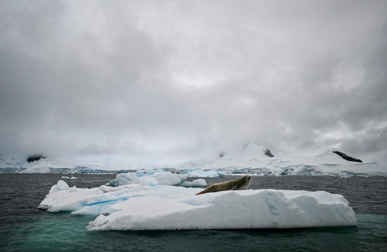 Do people live in Antarctica? Here's a look at population on the icy ...