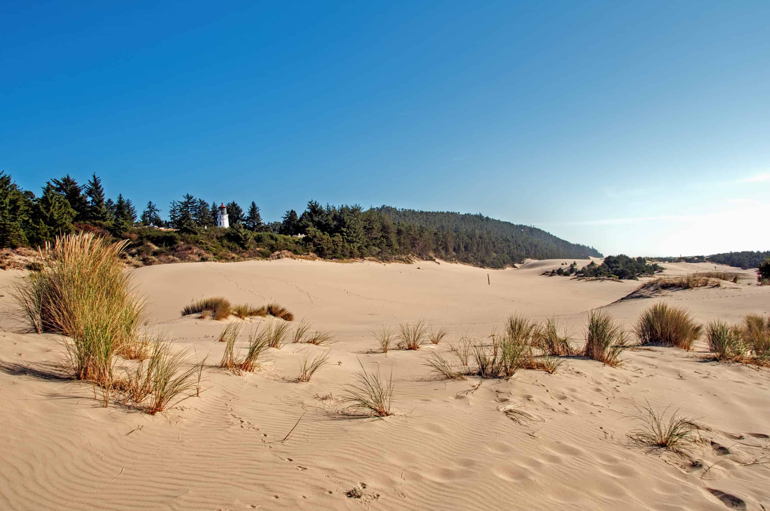 <p>This one-of-a-kind recreation area is on the Oregon coast between Florence and Coos Bay. The sandy area is a place to have fun. It is the largest coastal sand dunes in North America and one of the cool things Oregon is known for. The Oregon Dunes are over 100,000 years old and are part of the Siuslaw National Forest. The recreational area is perfect for hiking, camping, swimming, boating, paddling, and wildlife watching. This is truly a unique piece of Oregon and worth a visit.</p>