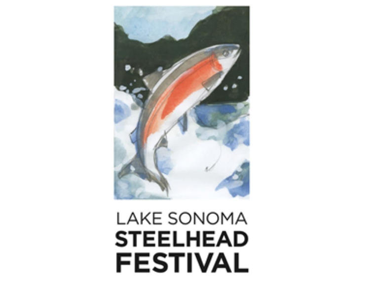 Lake Sonoma Steelhead Festival Slated Saturday Rain Or Shine