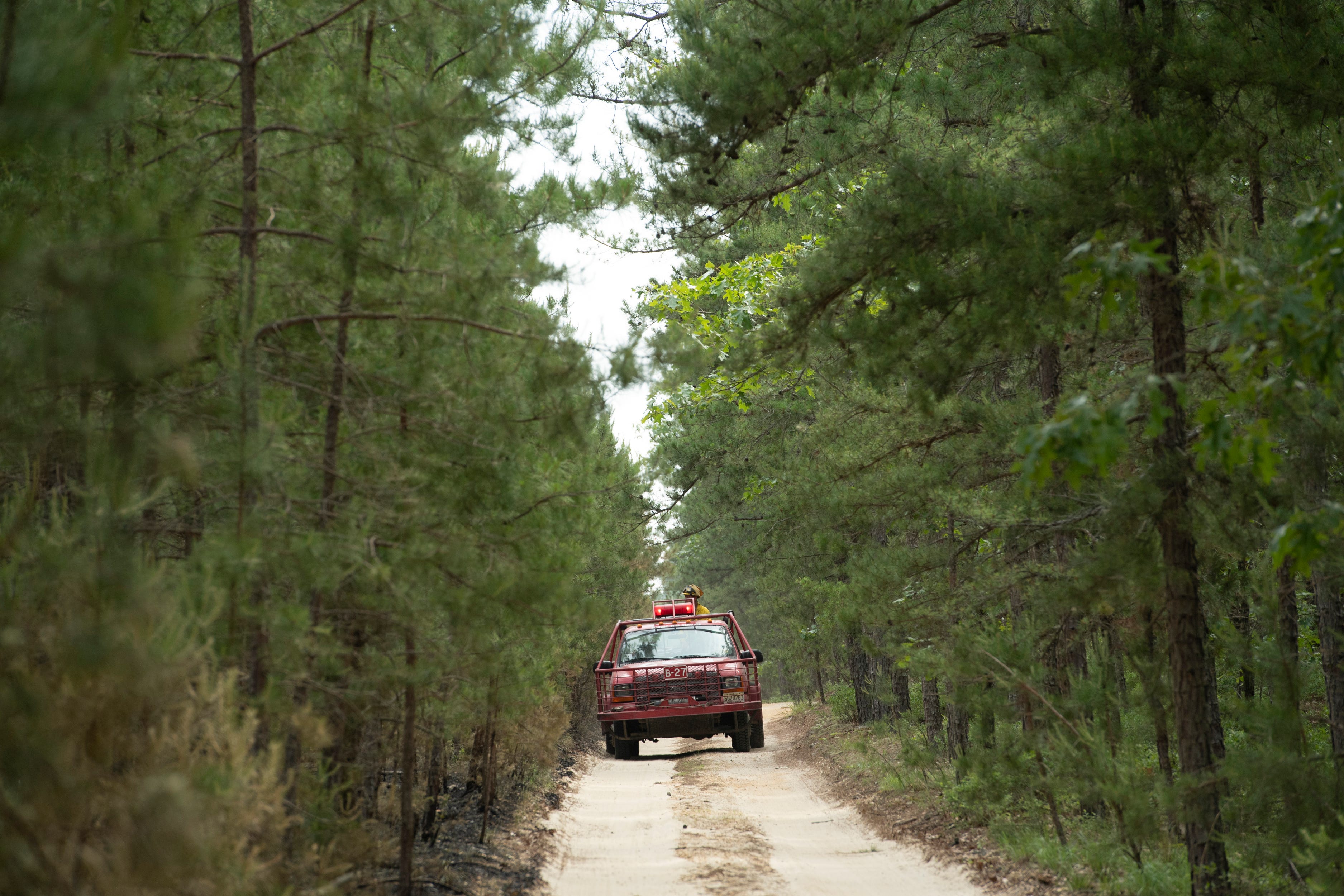 wharton state forest plan to control illegal motor vehicle damage is a welcome step