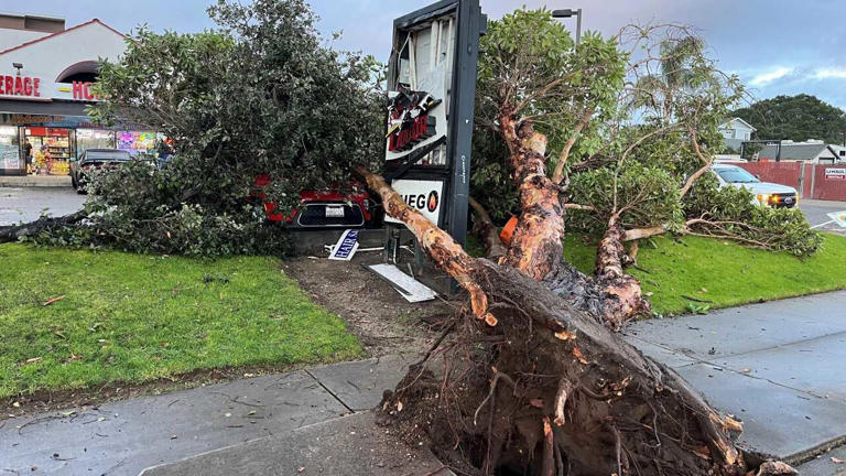 Tornado Confirmed: Nws Responds To Damage In San Luis Obispo County