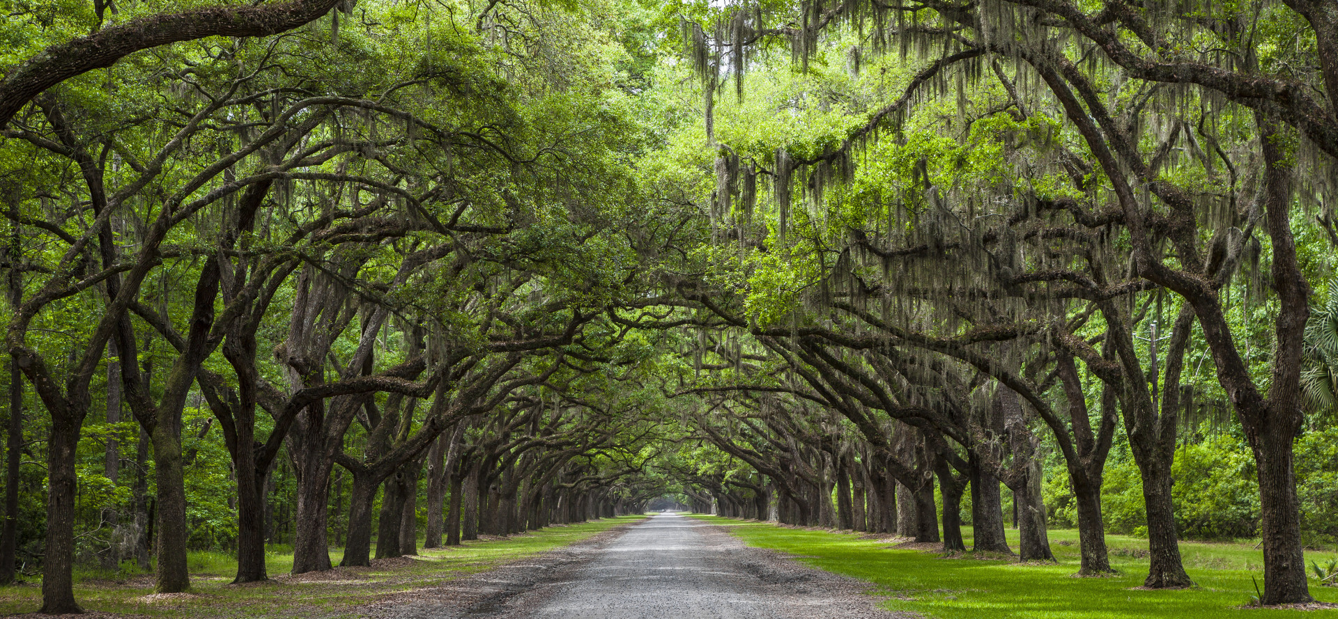America's most stunning spring destinations on a budget
