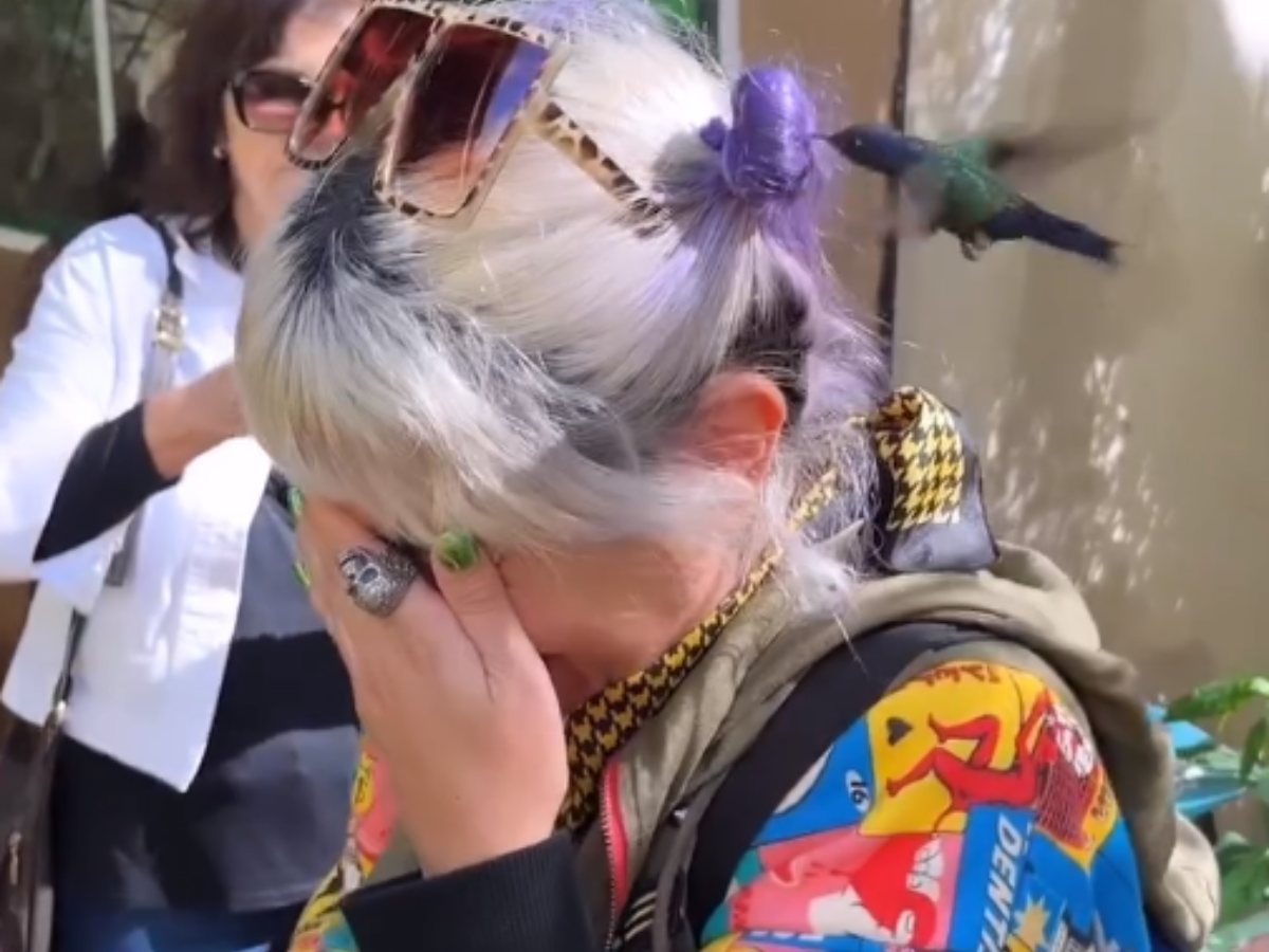 video: colibrí confunde cabello de mujer con flor; causa sensación
