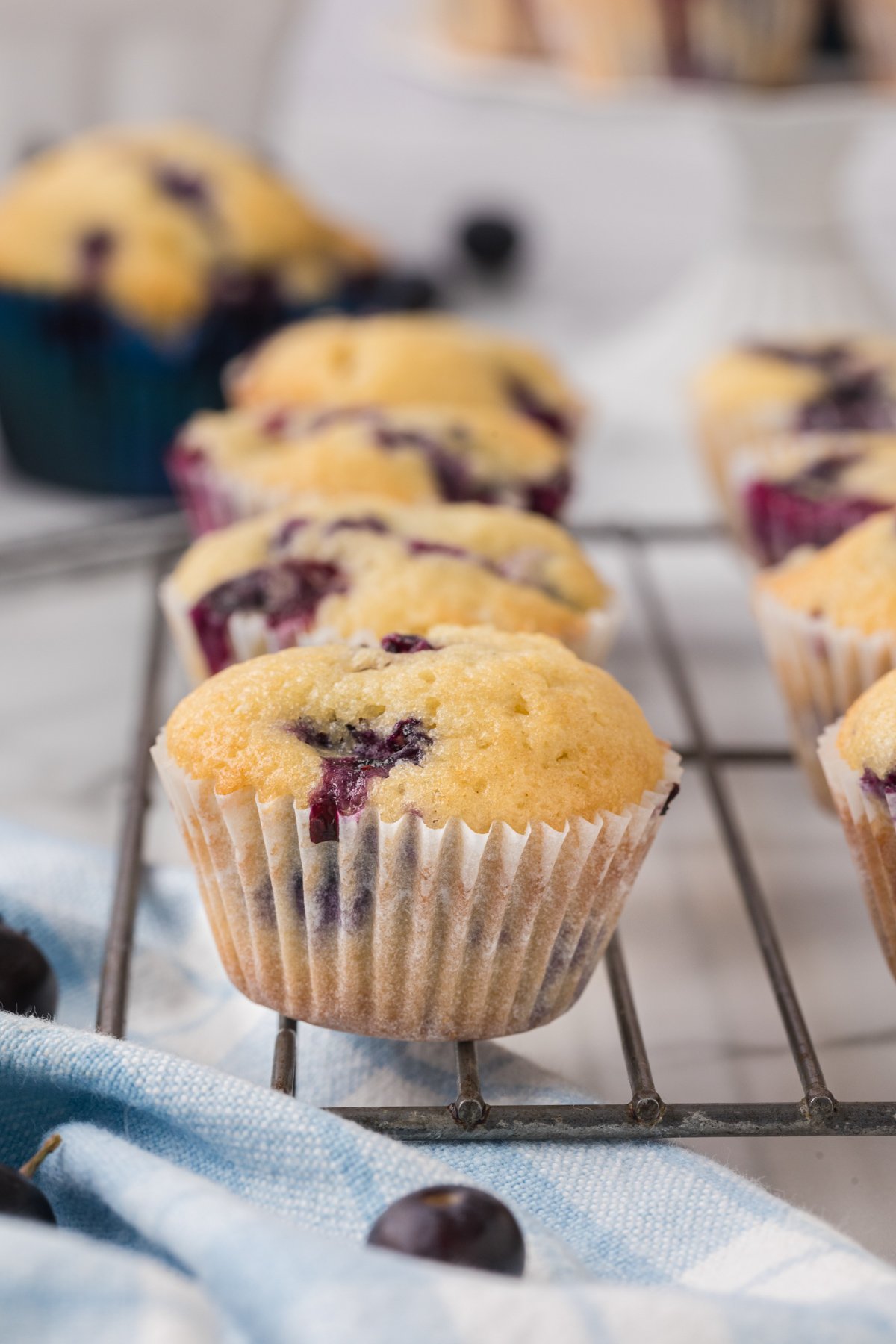 The Best Mini Blueberry Muffins Recipe   BB1i16l8.img