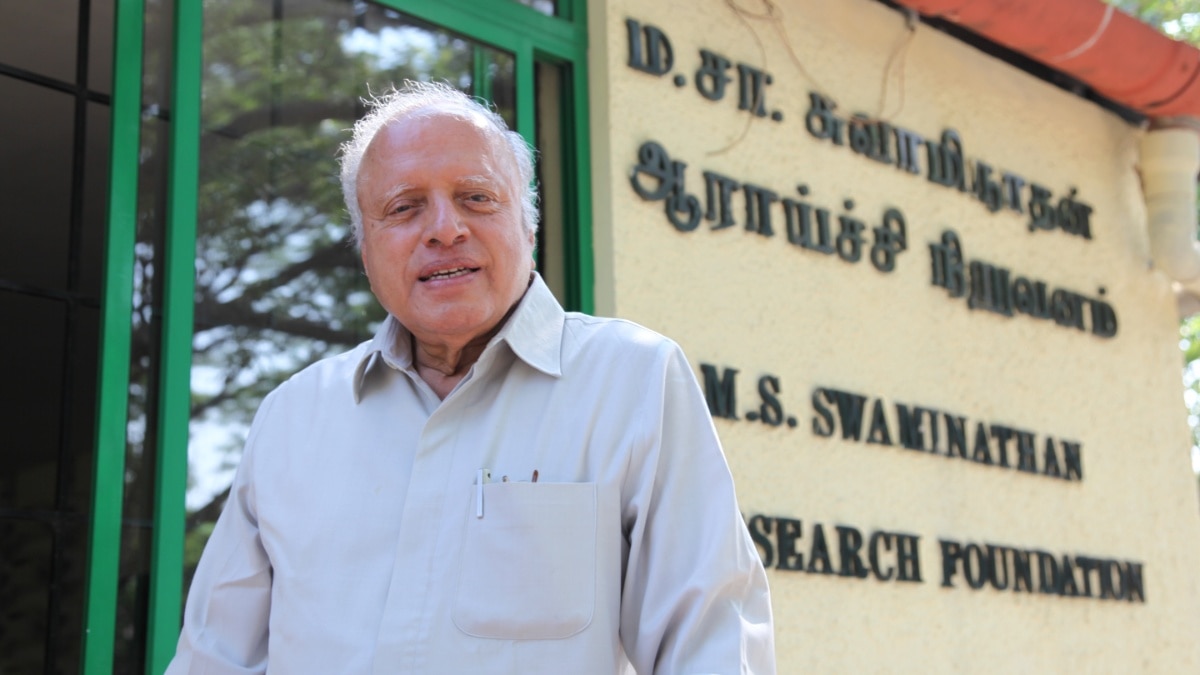 MS Swaminathan — A Look At Bharat Ratna Awardee's Life, Architect Of ...