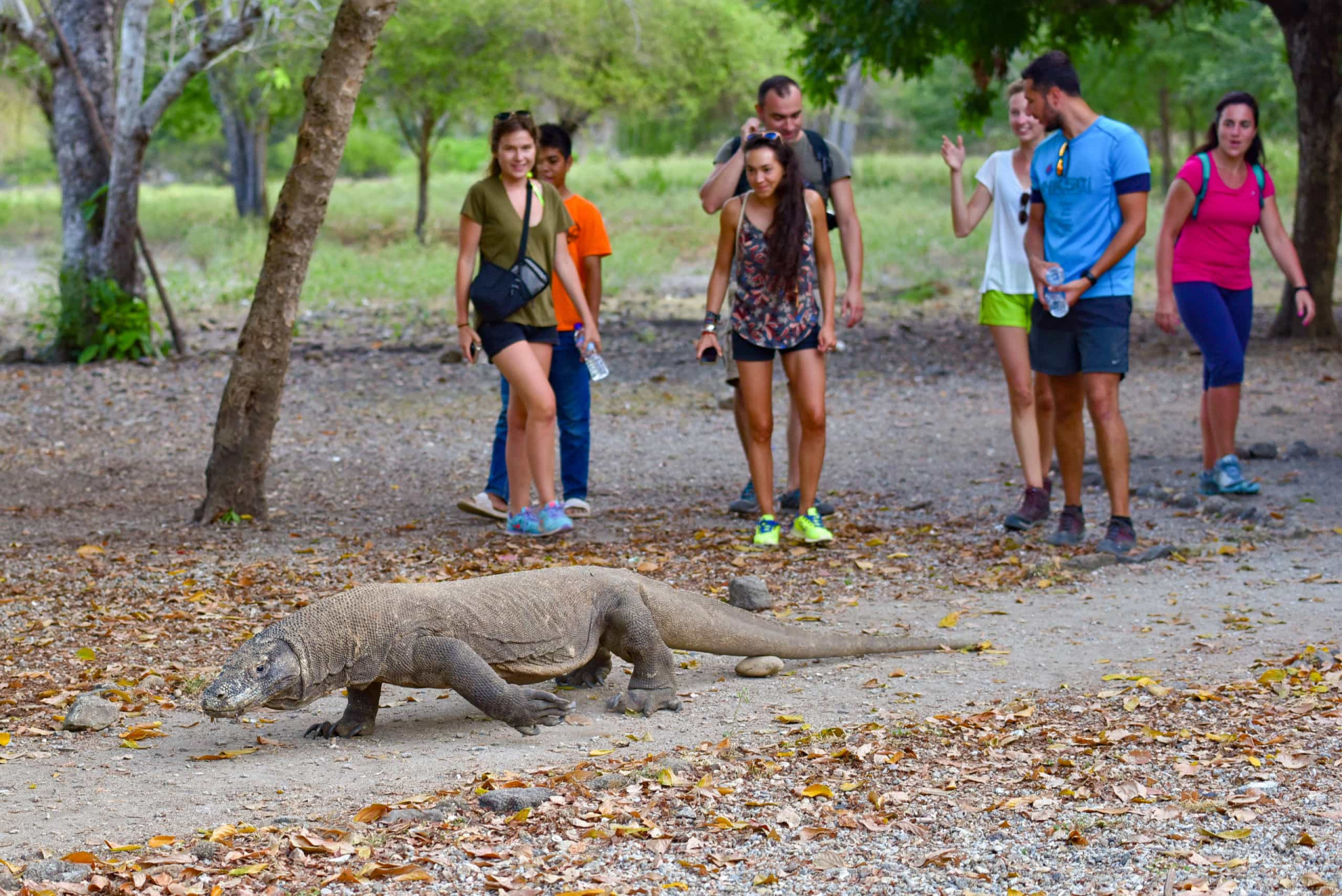 <p>In 2019, the Indonesian government announced the closure of Komodo Island, one of its most popular visitor destinations, for one year. Animal smugglers were blamed for threatening the island's wildlife, which includes the iconic Komodo dragon monitor lizard.</p><p><a href="https://www.msn.com/en-my/community/channel/vid-7xx8mnucu55yw63we9va2gwr7uihbxwc68fxqp25x6tg4ftibpra?cvid=94631541bc0f4f89bfd59158d696ad7e">Follow us and access great exclusive content every day</a></p>