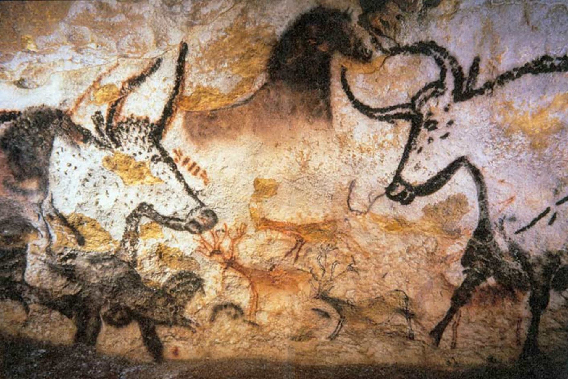 <p>The prehistoric Lascaux cave complex near the village of Montignac was closed to the public back in 1963 after carbon dioxide exhaled by visitors began damaging the cave paintings, estimated to be 17,300 years old. A replica cave was opened in 1983 so that visitors could still experience the paintings without damaging the originals.</p><p>You may also like:<a href="https://www.starsinsider.com/n/233983?utm_source=msn.com&utm_medium=display&utm_campaign=referral_description&utm_content=668561en-my"> Unplugged: Celebrities who have given up social media</a></p>