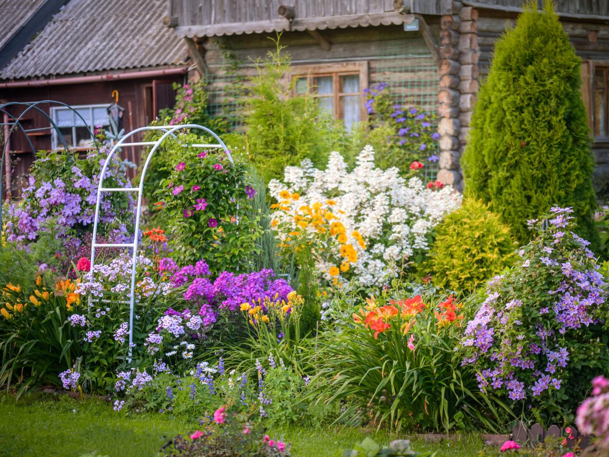 Staudenbeet Im Garten Anlegen: Schritt-für-Schritt-Anleitung