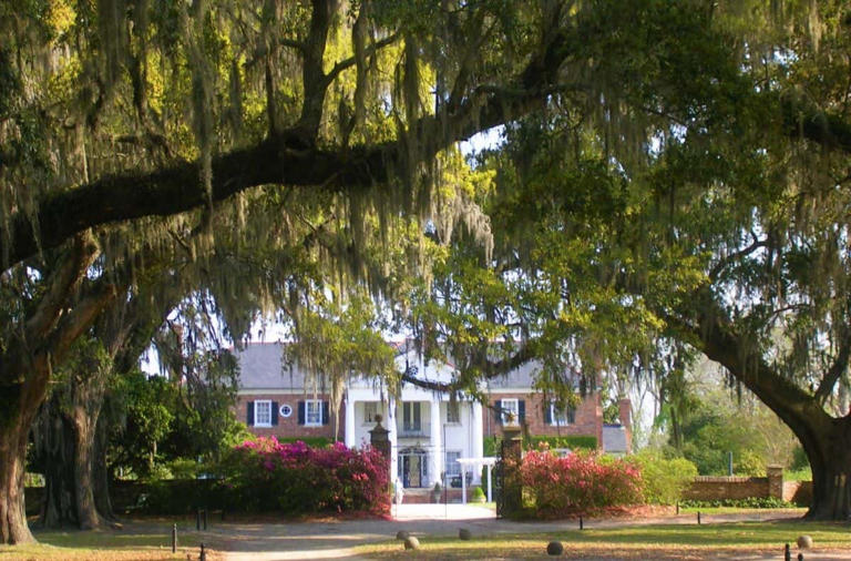 If you’re looking for the best Plantation Tours in Charleston SC, you’re in luck. I‘ve visited Charleston SC many times and have toured every plantation...