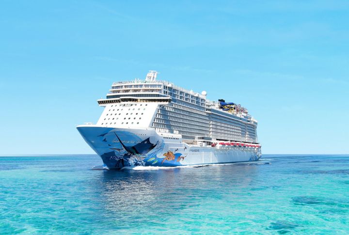 <p>Lovers of endless onboard thrill can hop on the Norwegian Cruise Line, which boasts flexible dining options and exhilarating activities like laser tag and go-kart racing, providing non-stop family fun. Their vibrant onboard atmosphere ensures everyone finds something to love.</p>