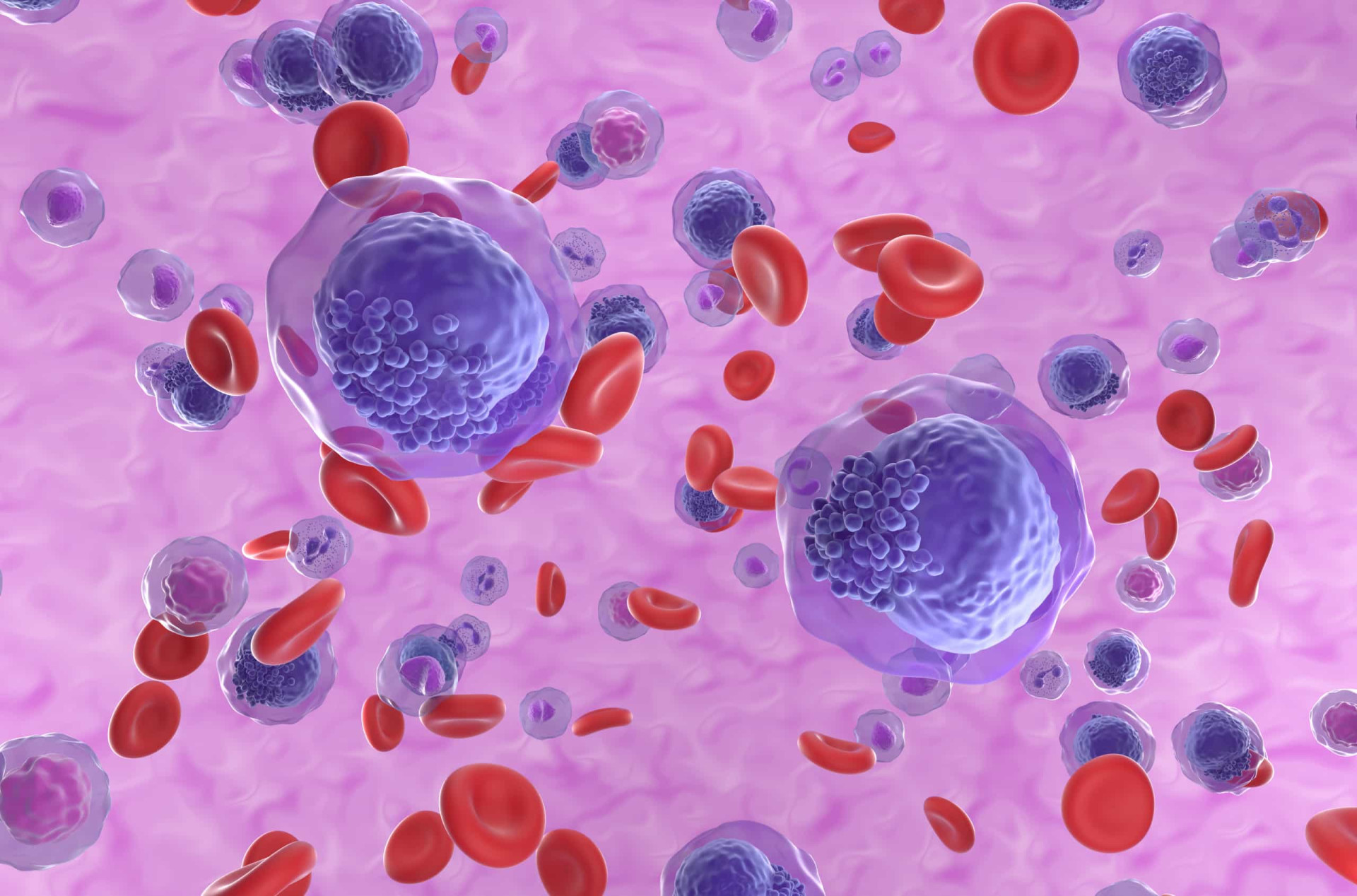 the-causes-symptoms-and-treatment-of-blood-and-bone-marrow-cancers