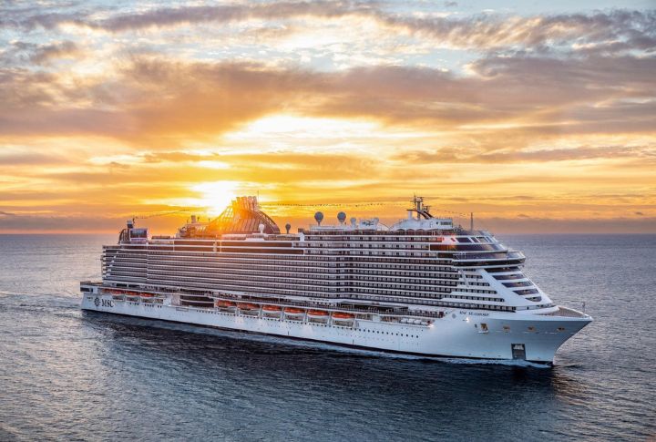 <p>The famous MSC Cruises offers a European flair, diverse dining options, and world-class entertainment, including Cirque du Soleil performances. During the voyage, your whole brood can enjoy thrilling water parks and engaging kids’ clubs onboard.</p>
