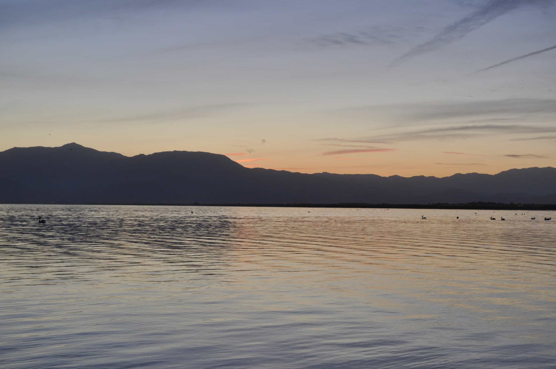 The Salton Sea: From Paradise To Purgatory