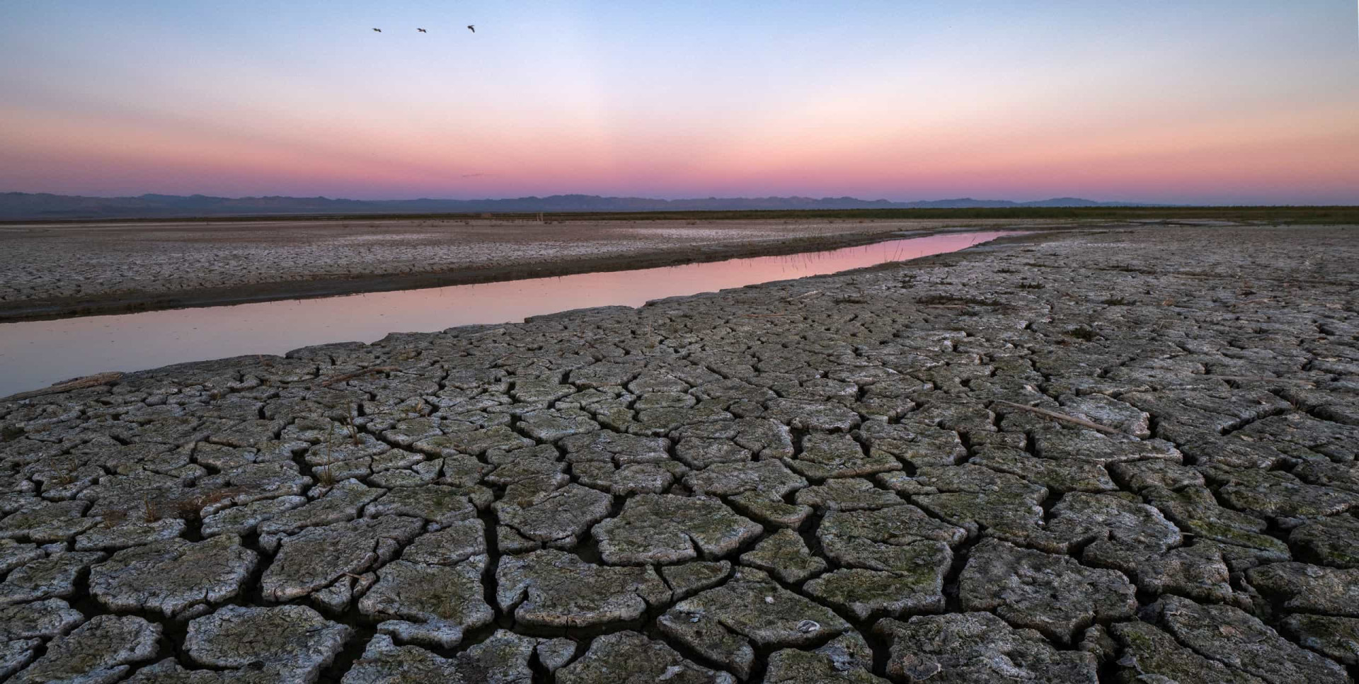 The Salton Sea: from paradise to purgatory