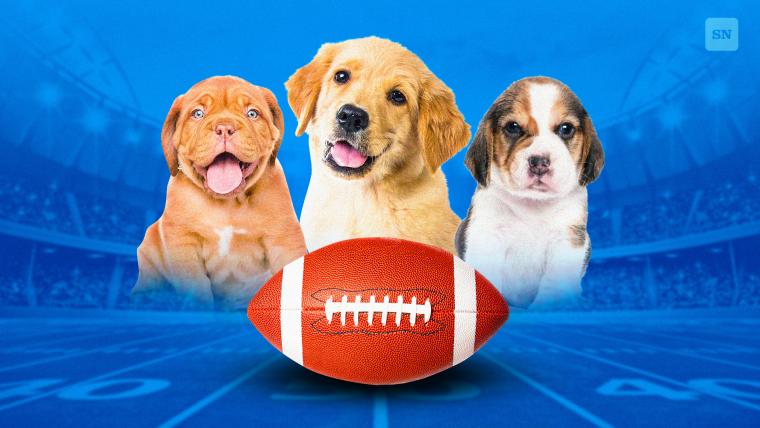 Puppy Bowl 2024 Schedule Start Time TV Channel How To Stream The   BB1i2J5K.img