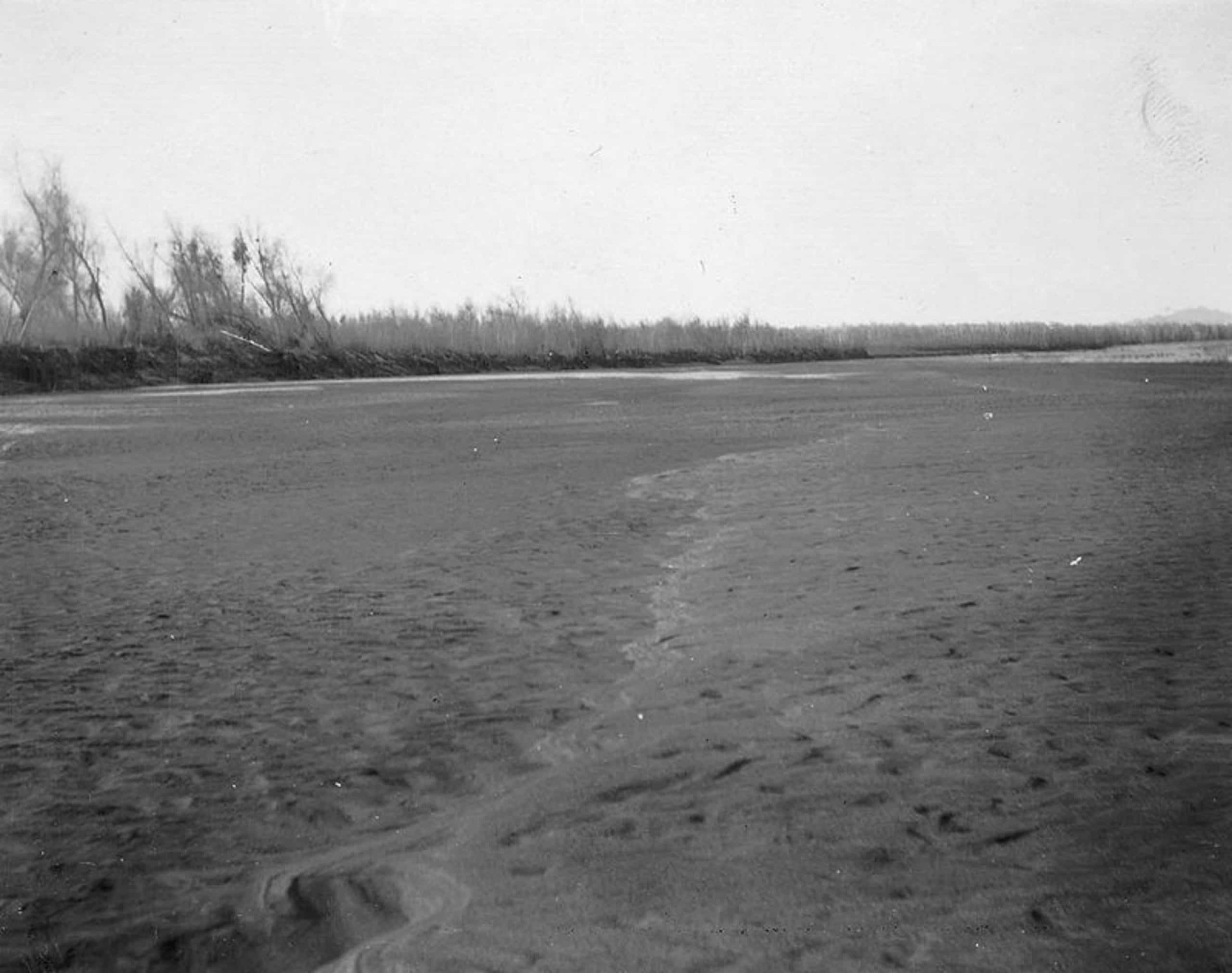 The Salton Sea: From Paradise To Purgatory