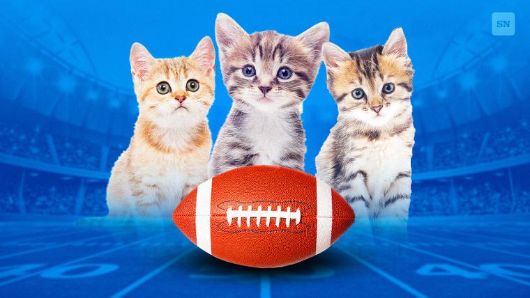 Kitten Bowl 2024 Schedule Time TV Channel How To Live Stream Great   BB1i2UWc.img