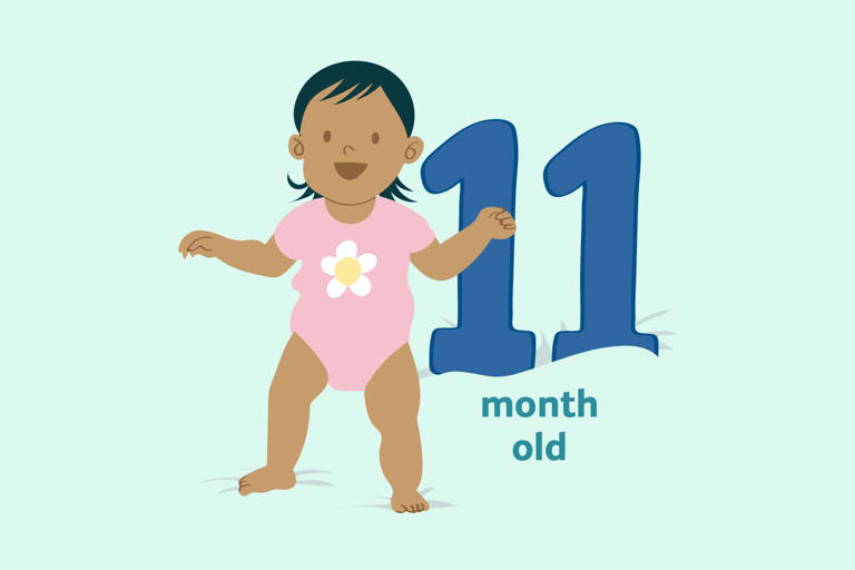 Your 11-Month-Old Baby’s Milestones and Development