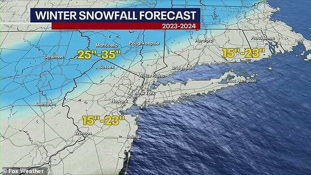 northeast braces for massive winter storms set to hit next week from pennsylvania to massachusetts - with experts saying they could mimic 'snowmaggedon' of 2010 and won't rule out a bombogenesis