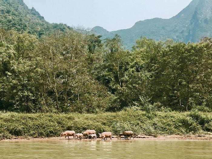 On a Trek to Northern Laos, Just Getting There Is an Adventure