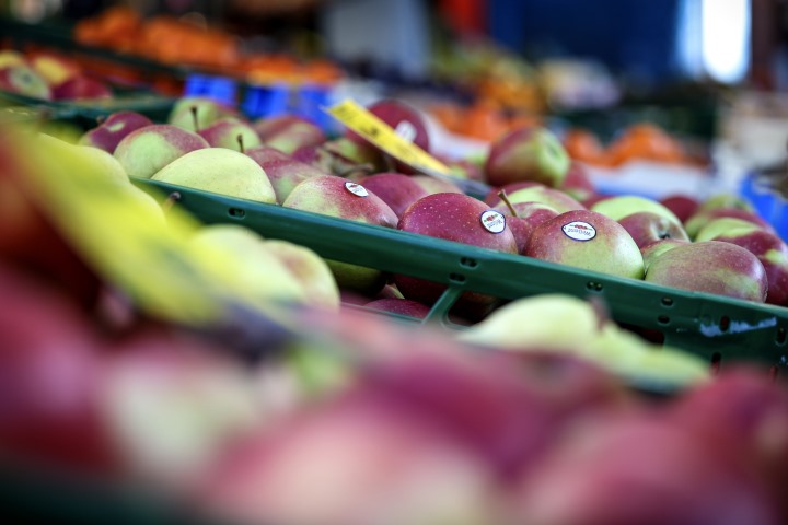 exportações de frutas, legumes e flores batem novo recorde de 2.300 me em 2023